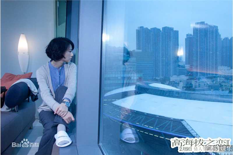 最新高圆圆(Gao Yuanyuan)精彩图册