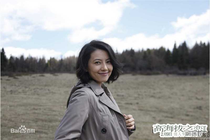 最新高圆圆(Gao Yuanyuan)精彩图册