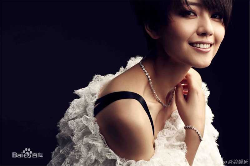 最全高圆圆(Gao Yuanyuan)精彩图册