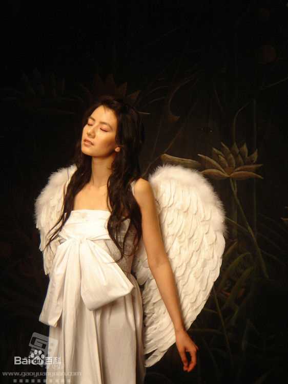 最全高圆圆(Gao Yuanyuan)精彩图册