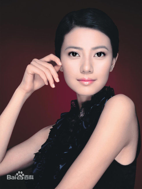 最优质高圆圆(Gao Yuanyuan)精彩图册1