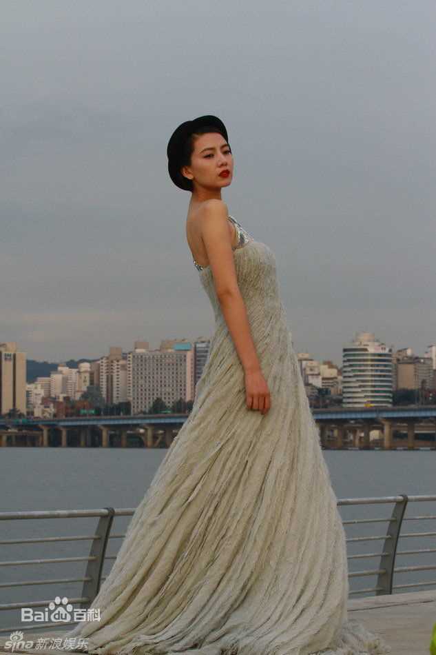 最优质高圆圆(Gao Yuanyuan)精彩图册1