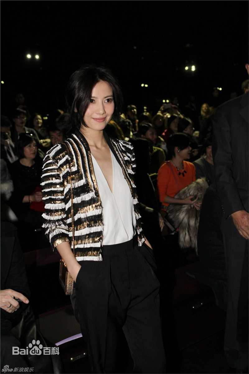 最优质高圆圆(Gao Yuanyuan)精彩图册1