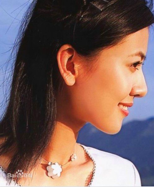 最优质高圆圆(Gao Yuanyuan)精彩图册1