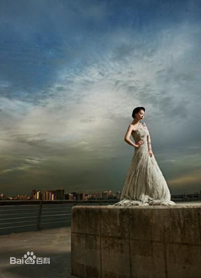 最优质高圆圆(Gao Yuanyuan)精彩图册1