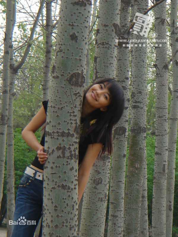 最优质高圆圆(Gao Yuanyuan)精彩图册1