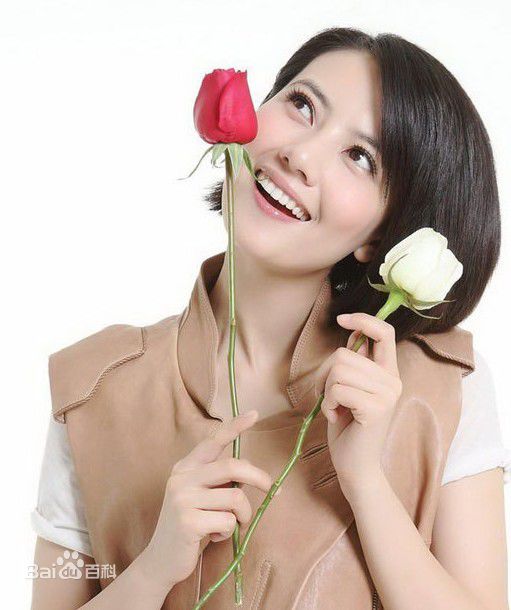 最优质高圆圆(Gao Yuanyuan)精彩图册1