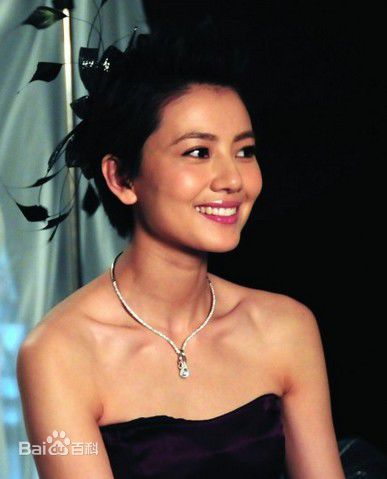 最优质高圆圆(Gao Yuanyuan)精彩图册1