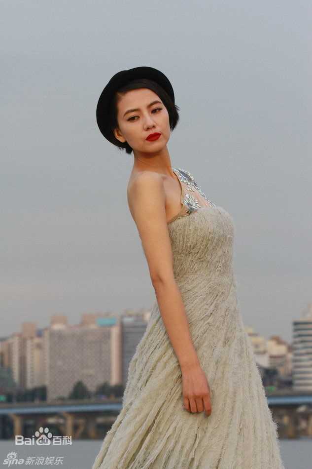 精选高圆圆(Gao Yuanyuan)精彩图册3