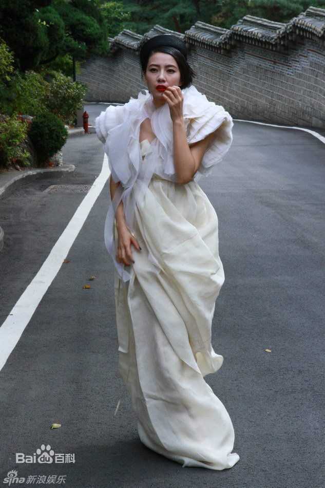 精选高圆圆(Gao Yuanyuan)精彩图册3