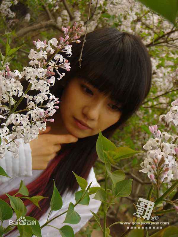 精选高圆圆(Gao Yuanyuan)精彩图册3