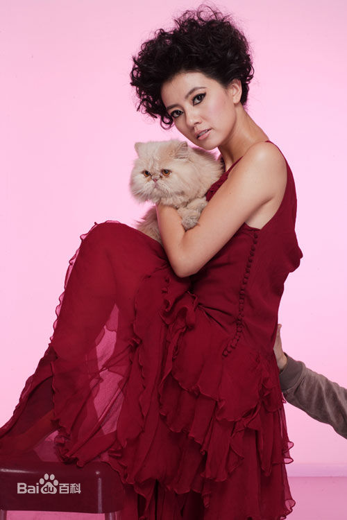 精选高圆圆(Gao Yuanyuan)精彩图册3