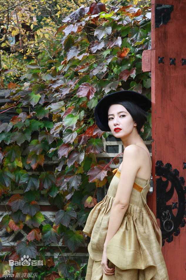 精选高圆圆(Gao Yuanyuan)精彩图册3