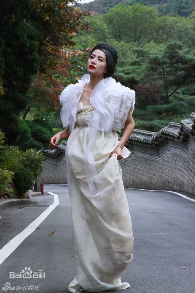 精选高圆圆(Gao Yuanyuan)精彩图册3