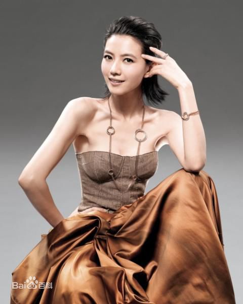 精选高圆圆(Gao Yuanyuan)精彩图册3