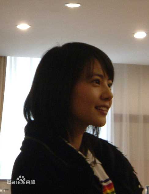 精选高圆圆(Gao Yuanyuan)精彩图册3