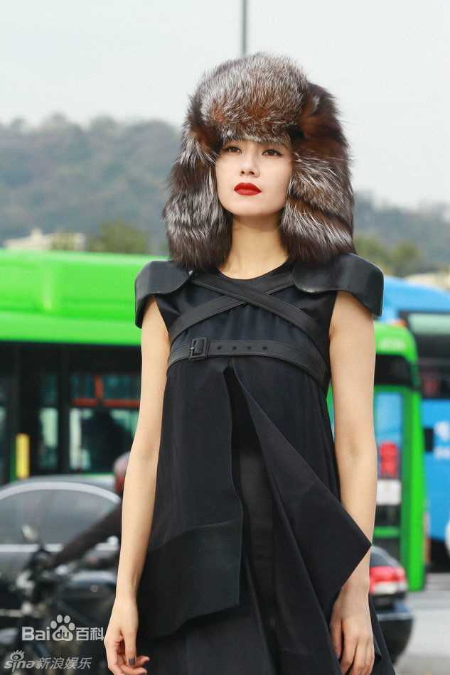 最优质高圆圆(Gao Yuanyuan)精彩图册2