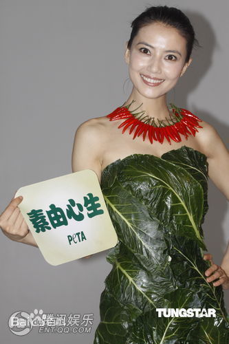 最优质高圆圆(Gao Yuanyuan)精彩图册2