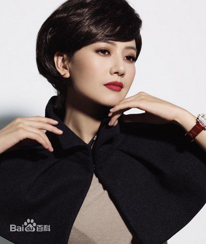 最优质高圆圆(Gao Yuanyuan)精彩图册2