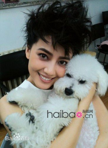 最优质高圆圆(Gao Yuanyuan)精彩图册2