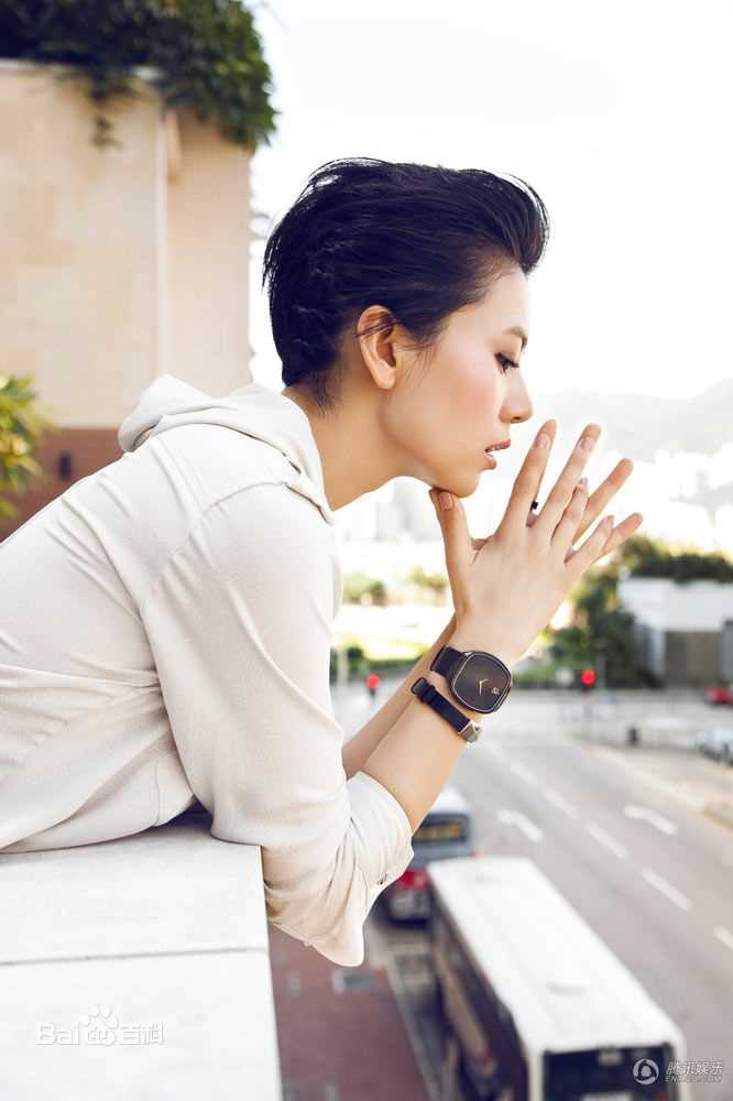 最优质高圆圆(Gao Yuanyuan)精彩图册2