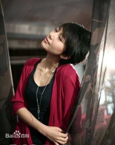 最优质高圆圆(Gao Yuanyuan)精彩图册2