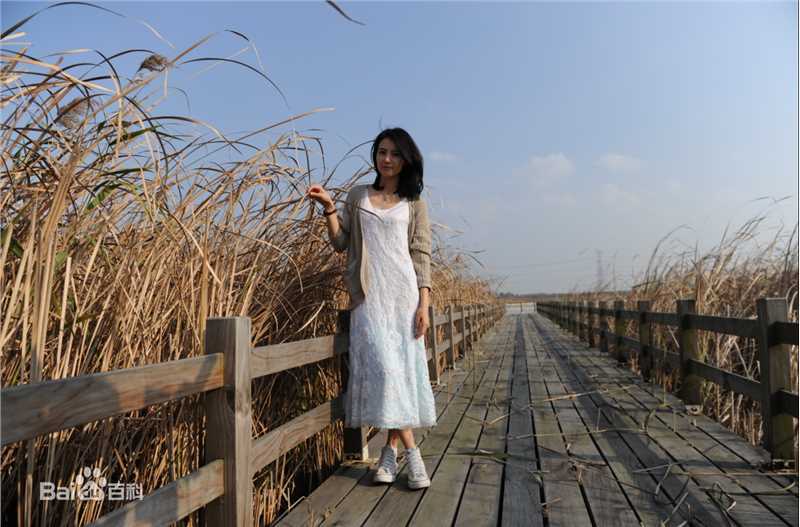 最全高圆圆(Gao Yuanyuan)精彩图册