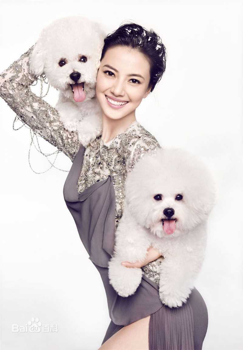 最全高圆圆(Gao Yuanyuan)精彩图册