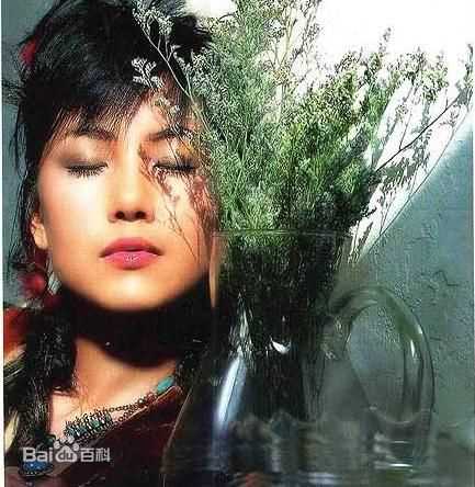 最全高圆圆(Gao Yuanyuan)精彩图册