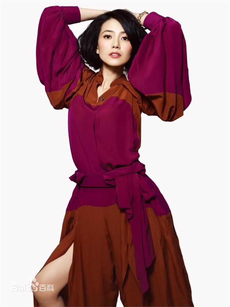 最全高圆圆(Gao Yuanyuan)精彩图册