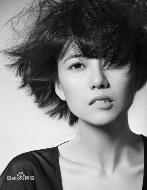 最全高圆圆(Gao Yuanyuan)精彩图册