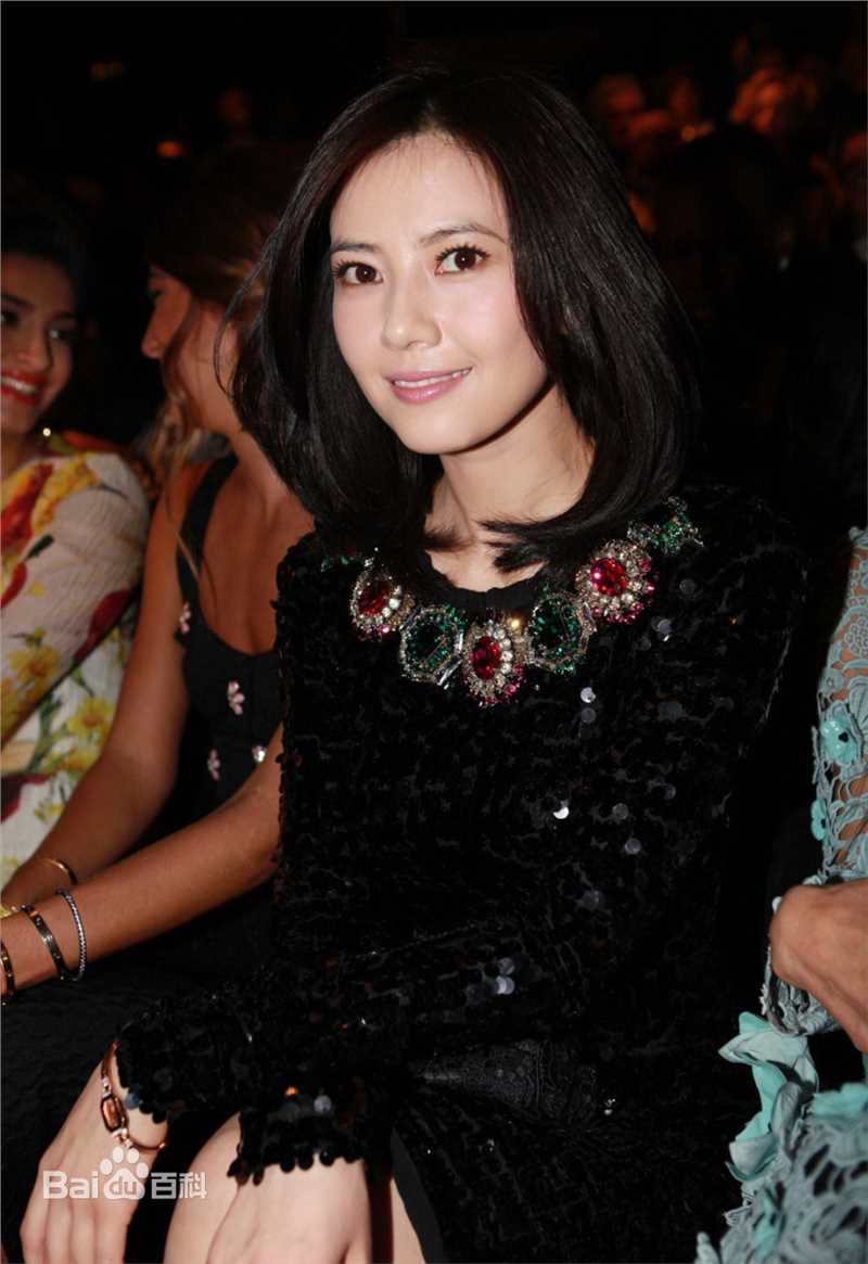 最全高圆圆(Gao Yuanyuan)精彩图册