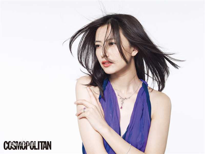 高圆圆(Gao Yuanyuan)精彩图册