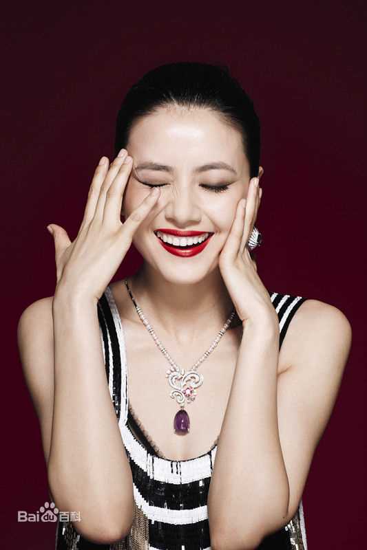 高圆圆(Gao Yuanyuan)精彩图册