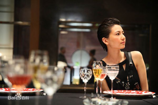 高圆圆(Gao Yuanyuan)精彩图册