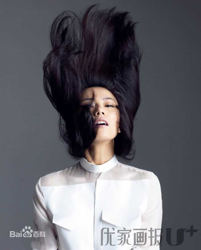 高圆圆(Gao Yuanyuan)精彩图册