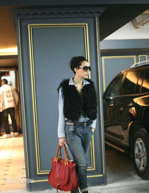 高圆圆(Gao Yuanyuan)精彩图册5