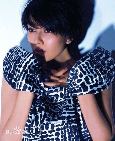 高圆圆(Gao Yuanyuan)精彩图册5