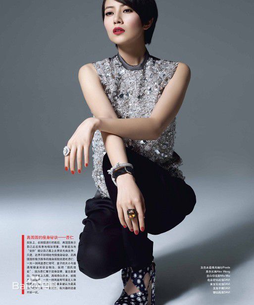 高圆圆(Gao Yuanyuan)精彩图册5