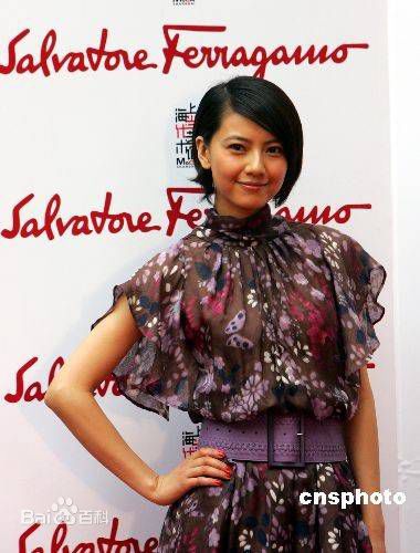 高圆圆(Gao Yuanyuan)精彩图册5