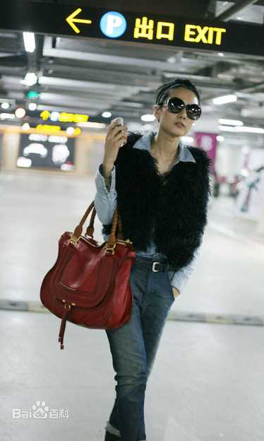 高清高圆圆(Gao Yuanyuan)精彩图册5