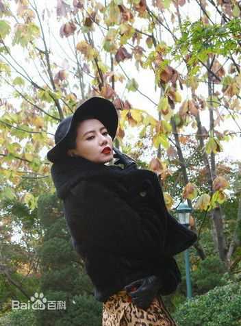 高清高圆圆(Gao Yuanyuan)精彩图册5