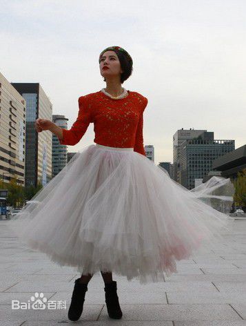 高清高圆圆(Gao Yuanyuan)精彩图册5