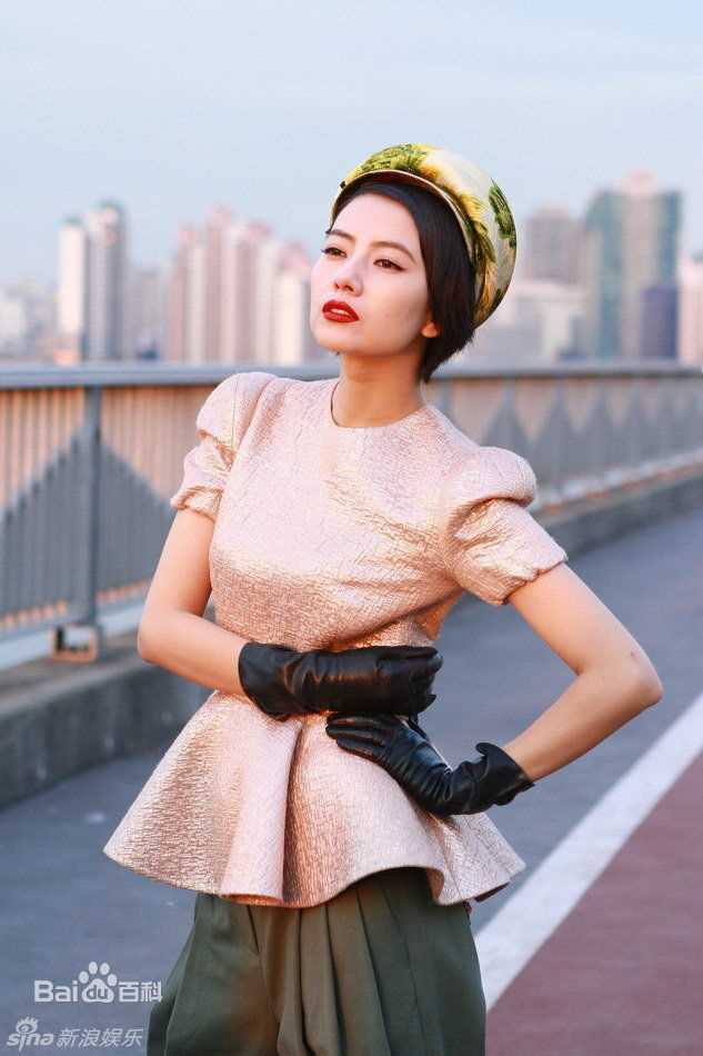 高圆圆(Gao Yuanyuan)精彩图册