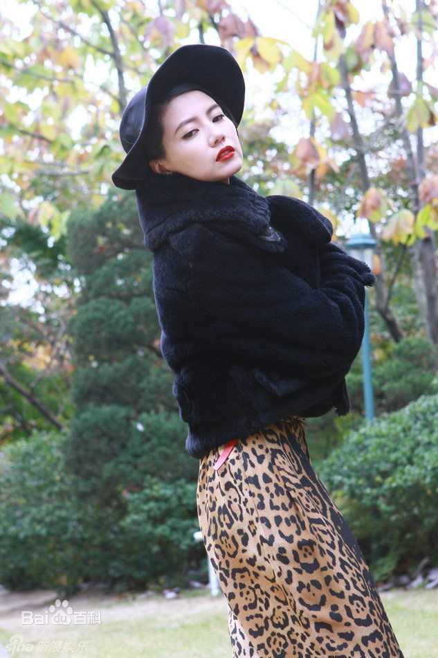 高圆圆(Gao Yuanyuan)精彩图册