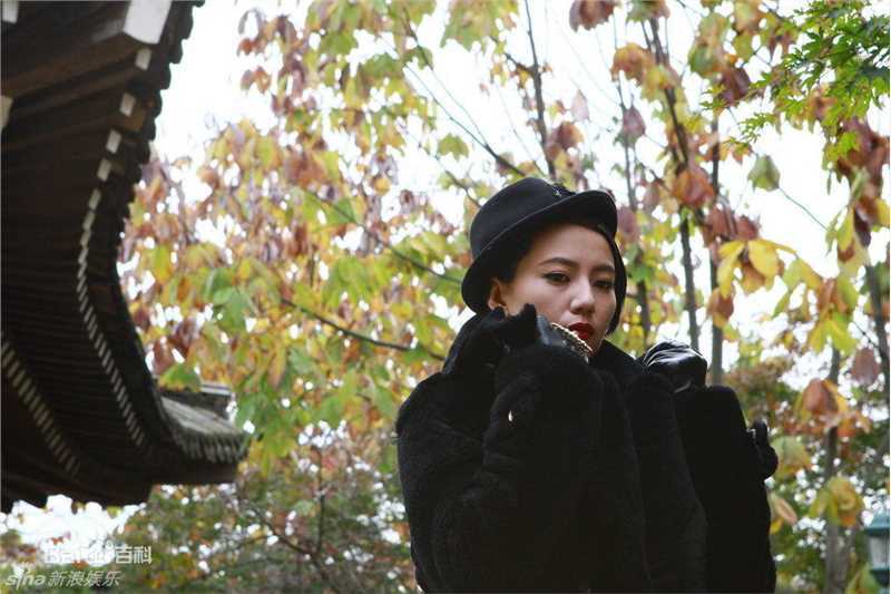 高圆圆(Gao Yuanyuan)精彩图册