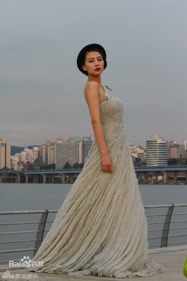 高清高圆圆(Gao Yuanyuan)精彩图册1