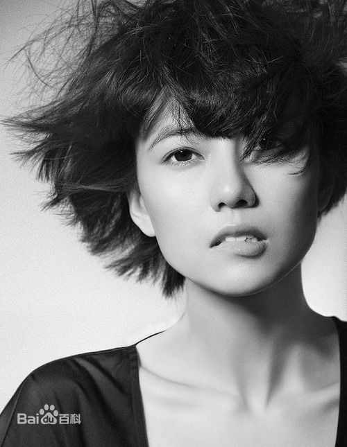 高清高圆圆(Gao Yuanyuan)精彩图册1