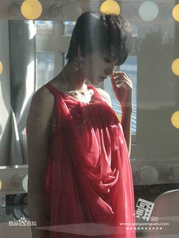 高清高圆圆(Gao Yuanyuan)精彩图册1