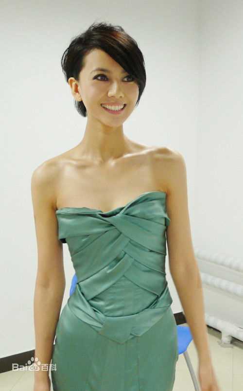 高清高圆圆(Gao Yuanyuan)精彩图册1